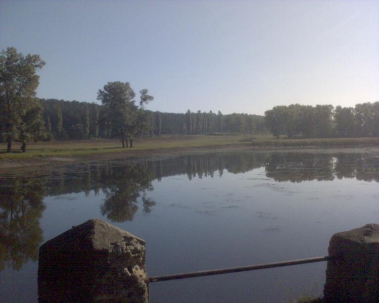 мое село - М'якоти