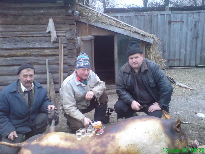 Тополевка - Тополівка