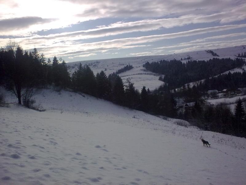 Тисовиця - Тисовиця