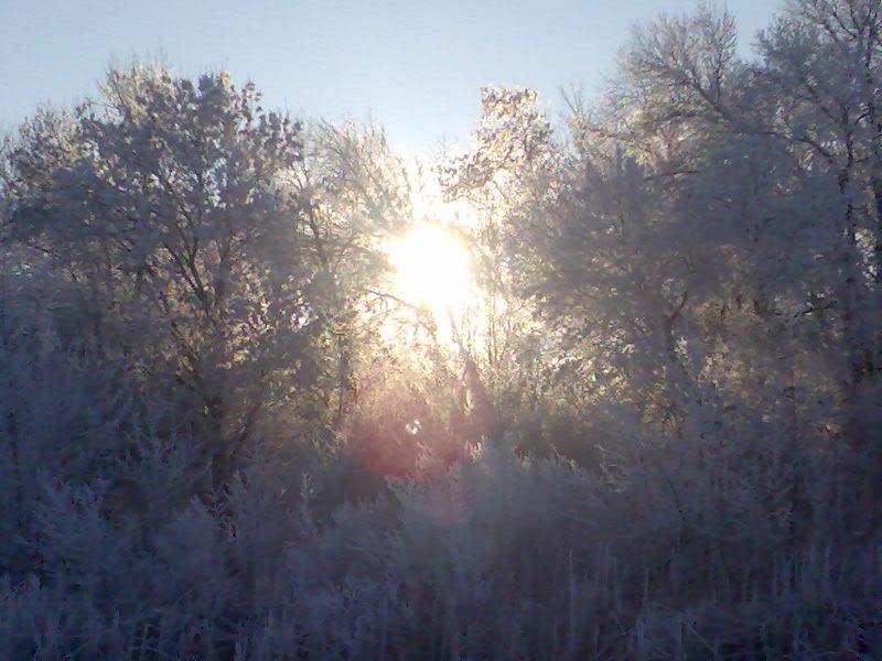 Рогачі - Рогачів