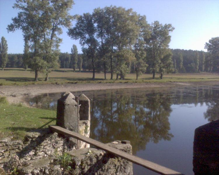 мое село - М'якоти