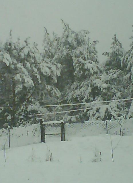 Любимое село - Макухівка