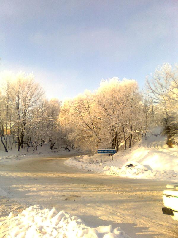 зима2010 - Лосятин