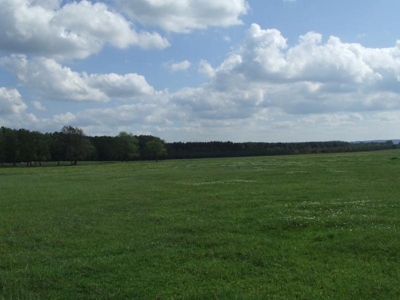 Шепетинське поле - Шепетин