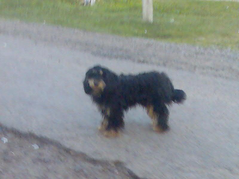 Довге-Калуське - Довге-Калуське