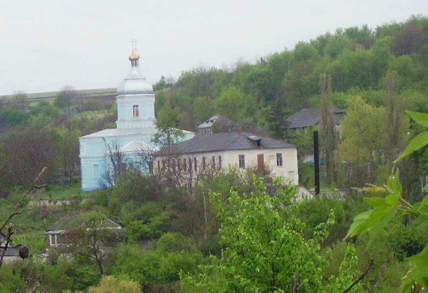 Родина - Шершенцы