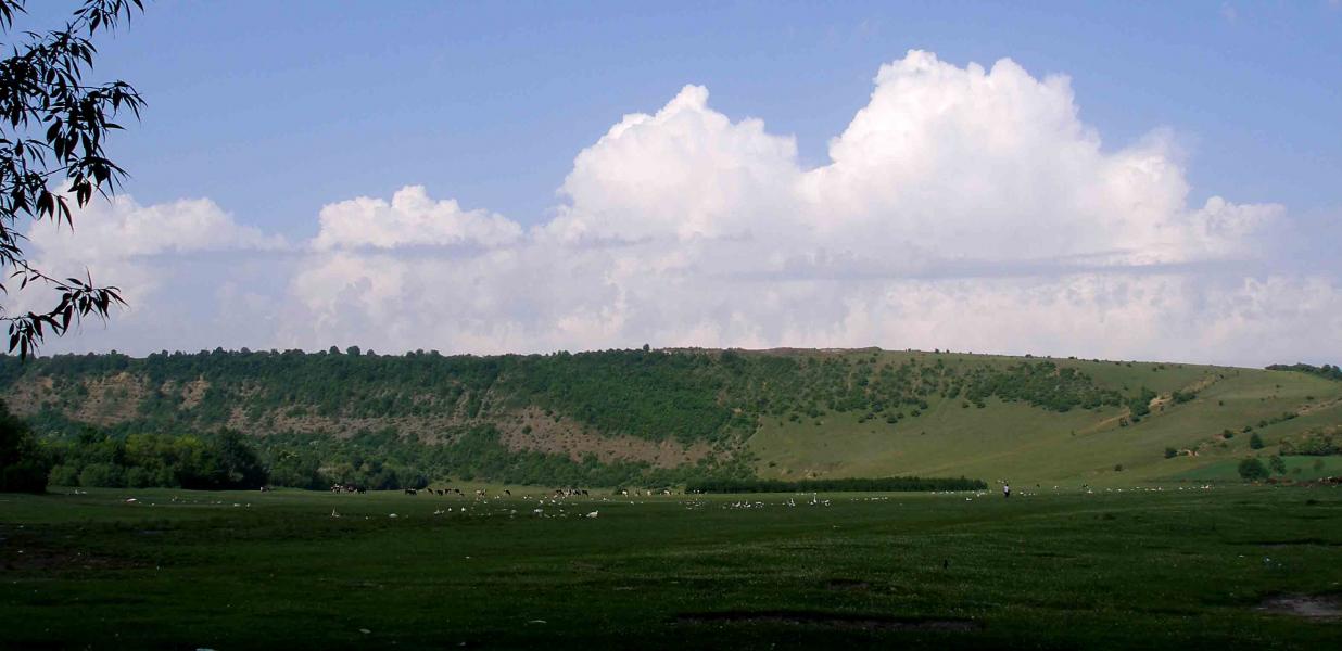 Шипівці - Шипівці