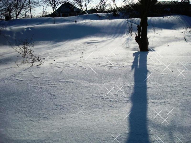 моє село - Привілля