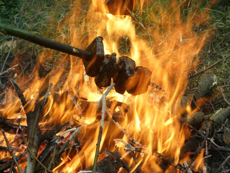 природа і відпочинок села - Чорнотичі