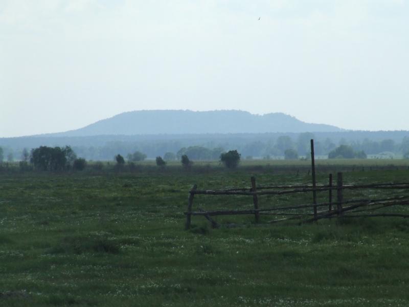 Шепетинське поле - Шепетин