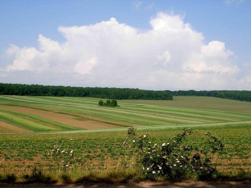 Шипівці - Шипівці