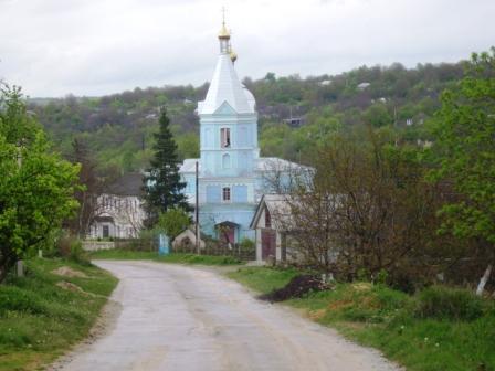 Родина - Шершенцы