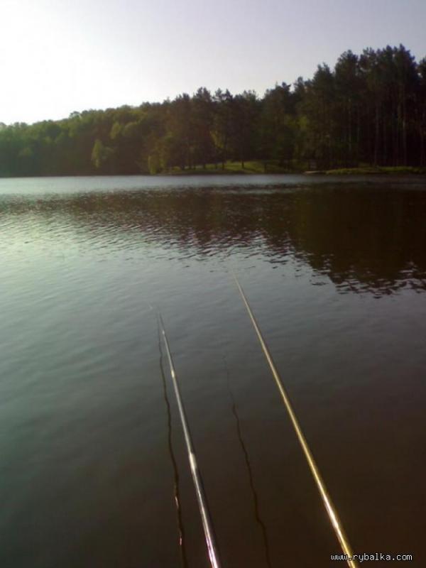 Шпитьки - Шпитьки