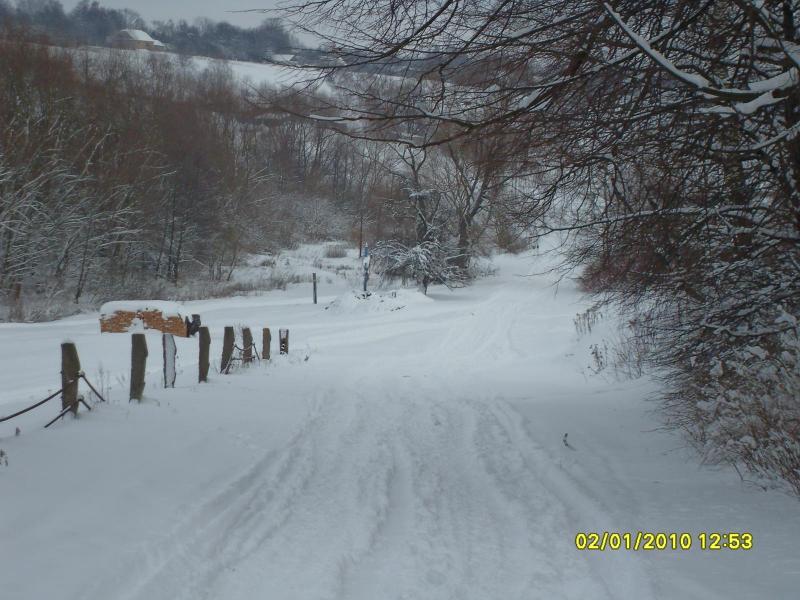 Фото села - Тилявка