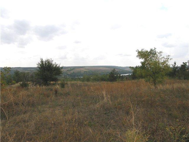 Воспоминание - Саражинка