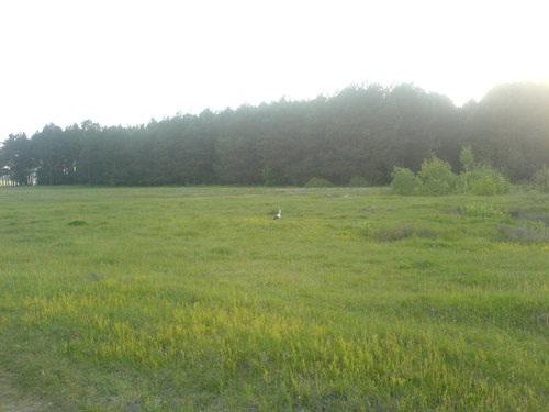 Околиці Плужного - Плужное