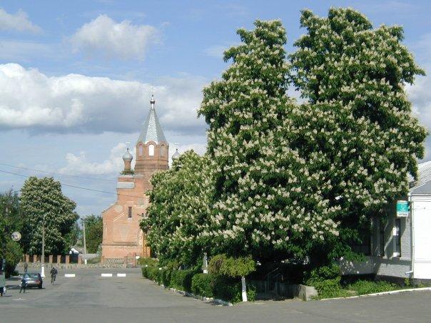 Фотографии г. Ильинцы - Іллінці