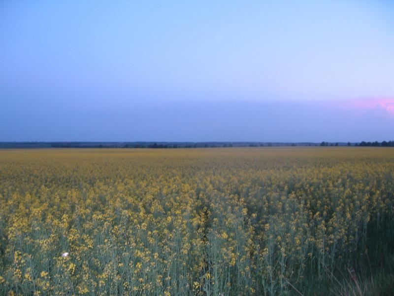 Фото Павленко - Іваниця