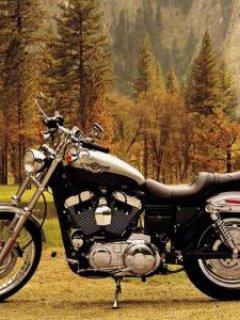 Однокласник - Шиманівка