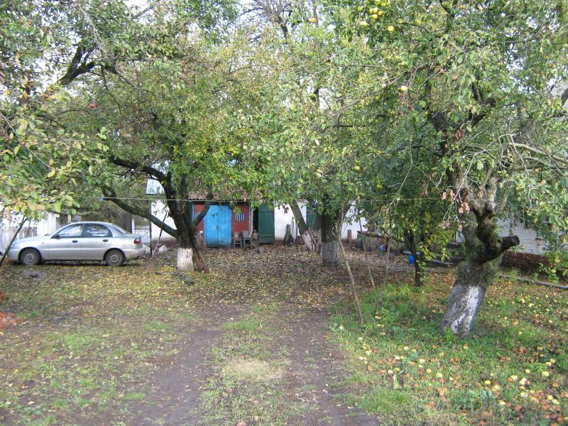 Село Штомпелівка. Будинки. - Штомпелівка