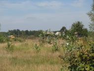 посеред лісу..