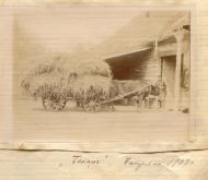 садиба Товстолісів