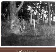 Історія мого села