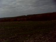 Бирзулове - Останні фото