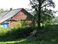 посеред лісу..