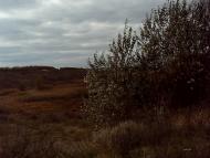 Бирзулове - Останні фото