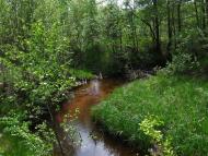 Природа мого села