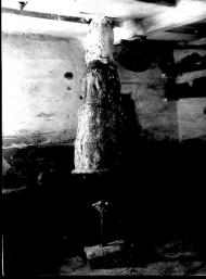 експедиція Ф.Вовка