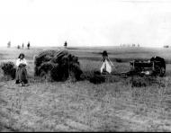 експедиція Ф.Вовка