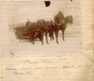 садиба Товстолісів