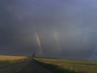 Дорога в никуда