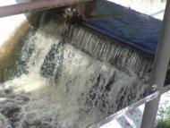 Природа Ніжина