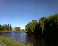 Природа Ніжина