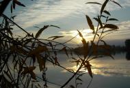 Ивчанские этюды