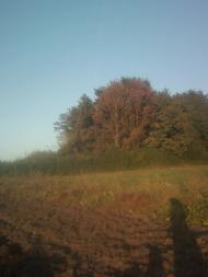 Багатківці  і околиці  села