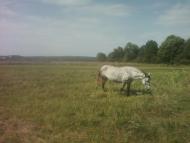 Багатківці  і околиці  села