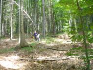 Моє рідне село