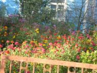 Польське село в Поліссі