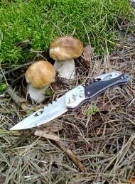 Цікавинки нашого села