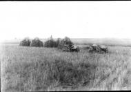 експедиція Ф.Вовка