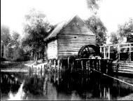 експедиція Ф.Вовка