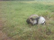 Багатківці  і околиці  села