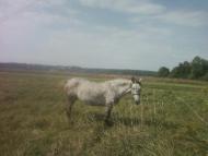 Багатківці  і околиці  села