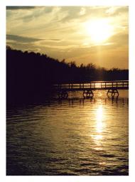 Детство, каникулы в Витковцах