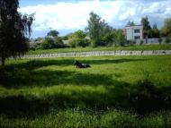 Природа Ніжина