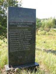 посеред лісу..